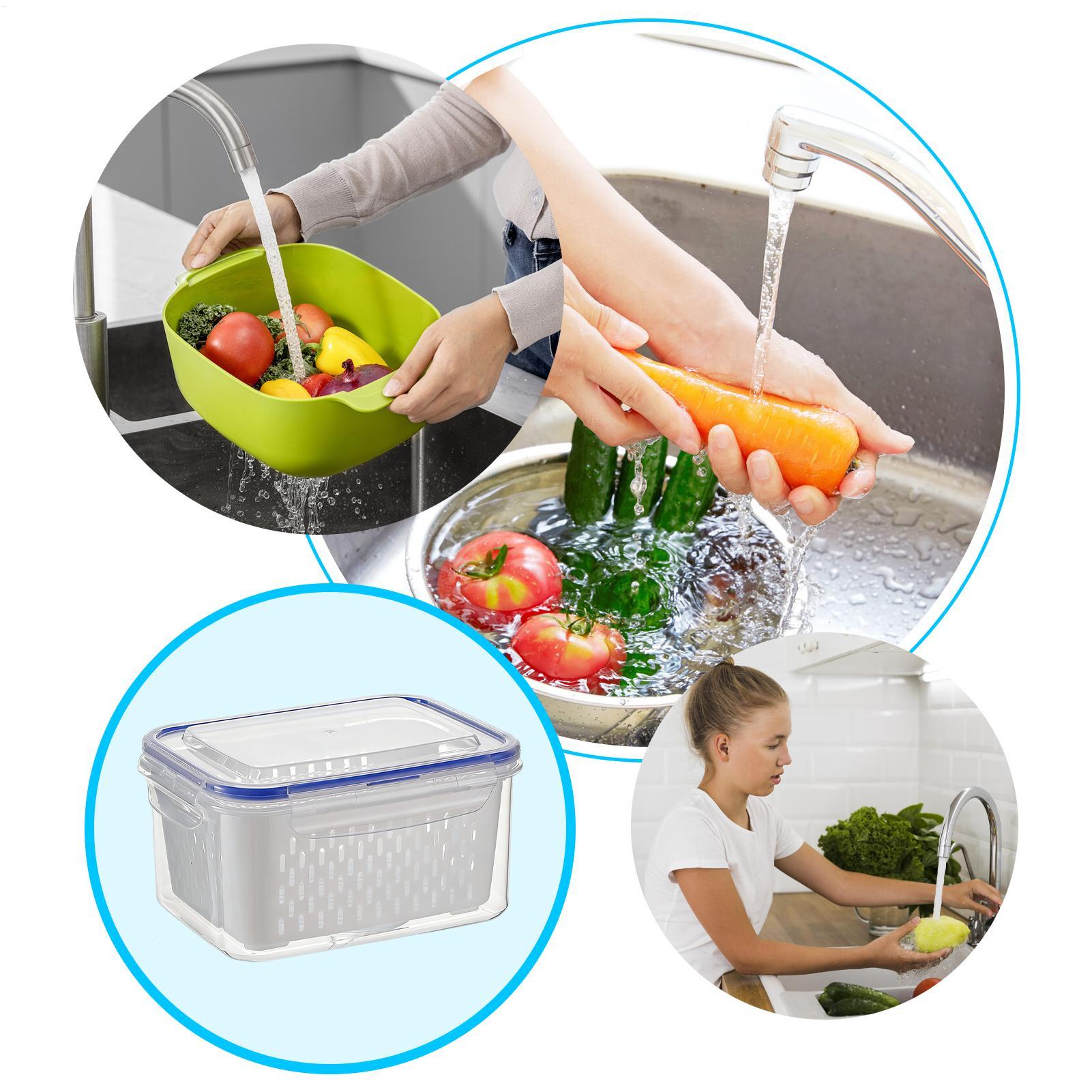 Container de Armazenamento de  - Food Storage Plastic Container avaliação e preço
