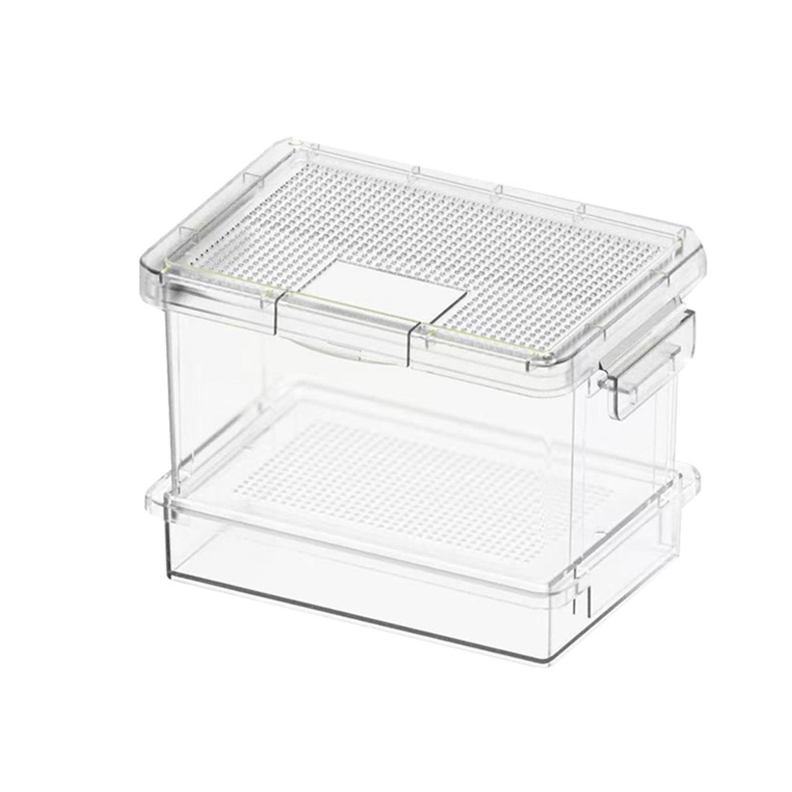 Caixa de Alimentação para Tart - Food Storage Small avaliação e preço